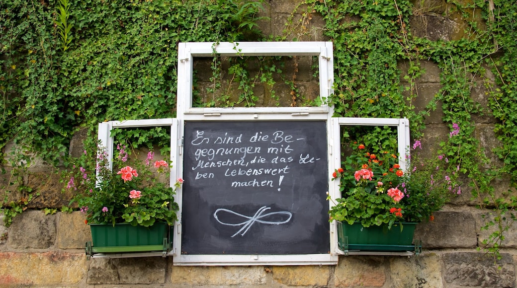 Dresden featuring signage and flowers