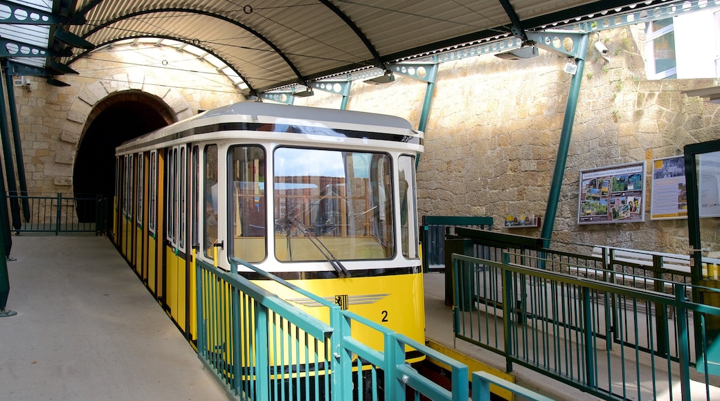 Dresden showing railway items