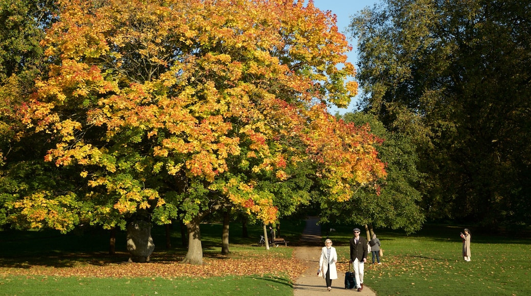 Hyde Park som viser efterårsfarver og en park såvel som en lille gruppe mennesker