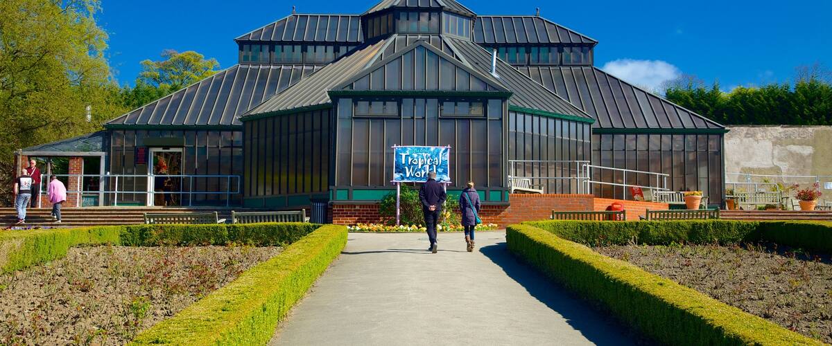 Tropical World ofreciendo un parque y también un pequeño grupo de personas