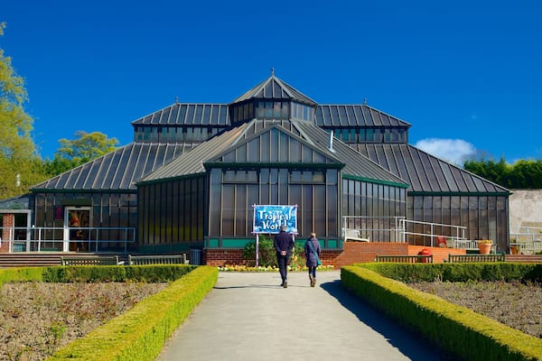 Tropical World showing a garden as well as a small group of people
