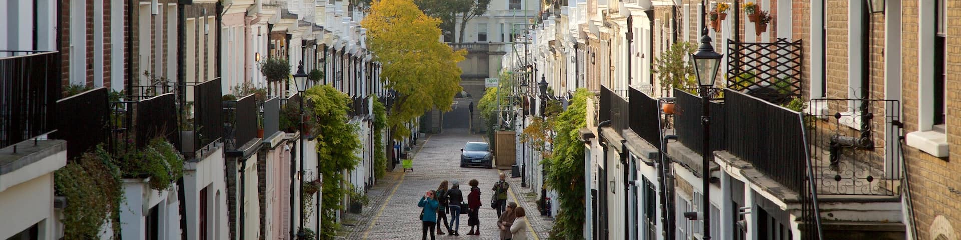 Holland Park District featuring autumn colours, street scenes and heritage architecture