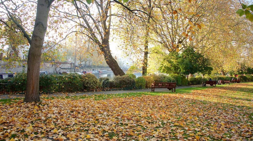 Little Venice which includes autumn leaves and a park