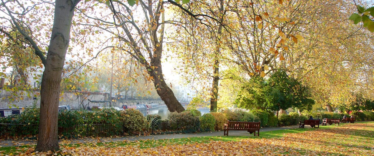 Little Venice ofreciendo hojas de otoño y un parque