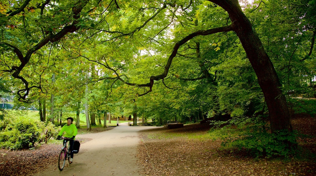 Parc Endcliffe