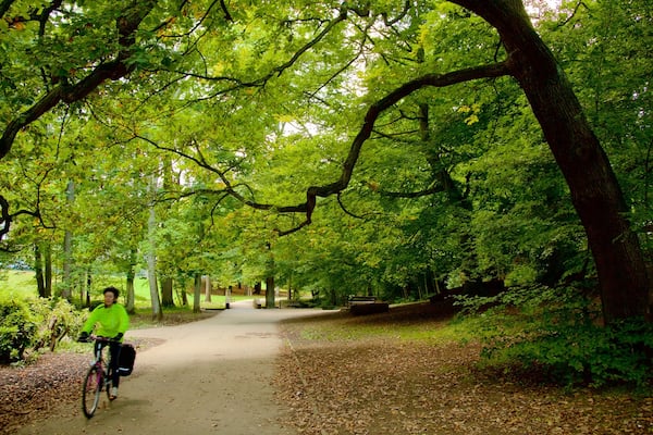 Endcliffe Park welches beinhaltet Fahrradfahren und Garten