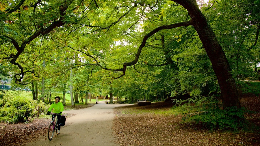 Endcliffe Park mostrando ciclismo y un parque