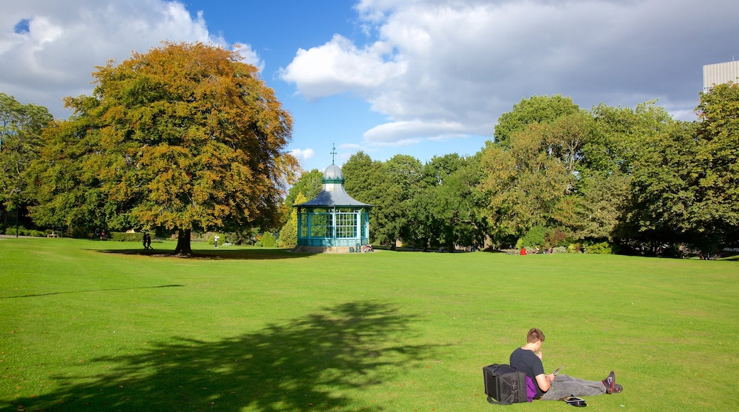 Sheffield qui includes parc aussi bien que homme
