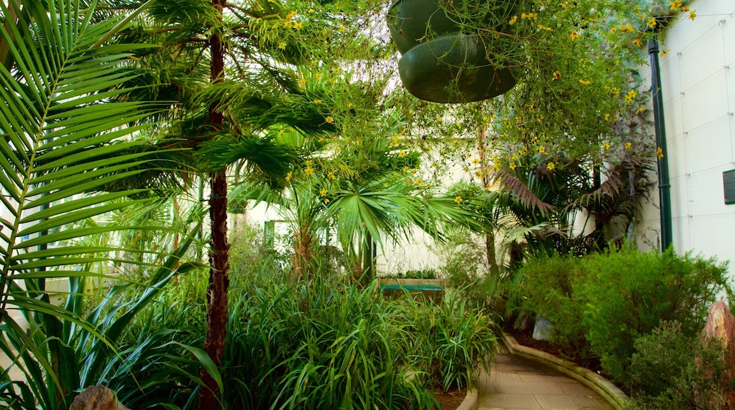 Sheffield Botanical Gardens showing a park