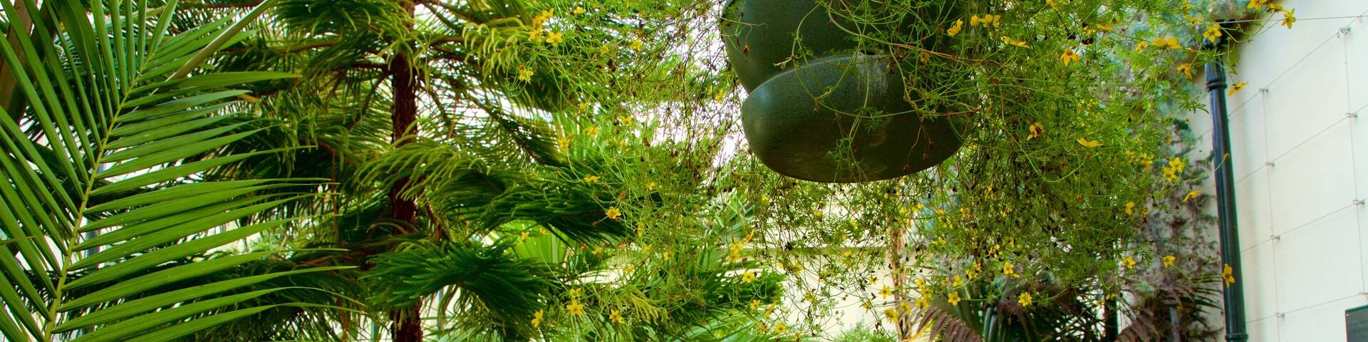 Sheffield Botanical Gardens featuring a park