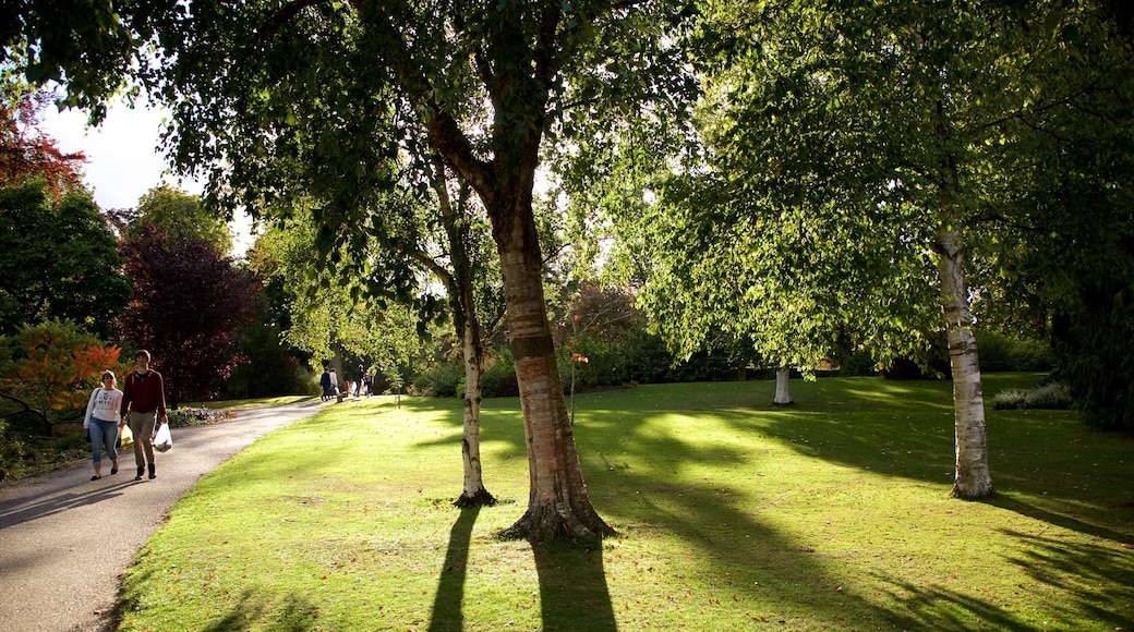 Sheffield Botanical Gardens featuring a park as well as a couple