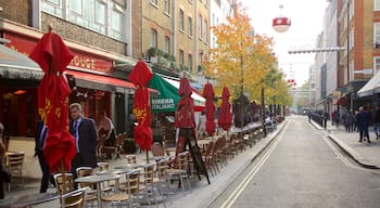 Marylebone showing autumn leaves and street scenes