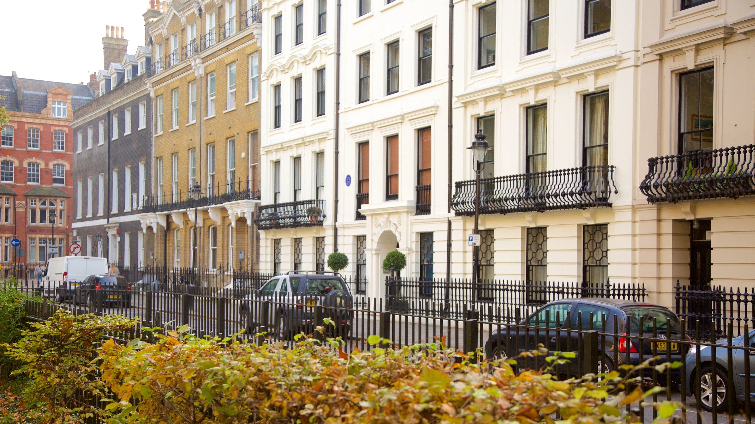 Bloomsbury showing heritage architecture and street scenes