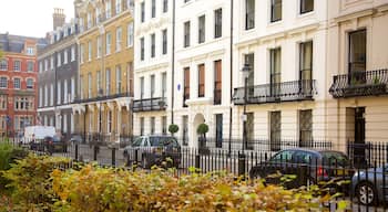 Bloomsbury showing street scenes and heritage architecture