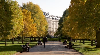 Kensington Gardens som inkluderar en park