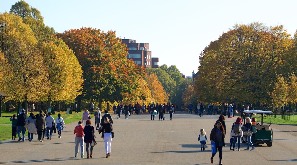 Kensington Gardens showing a garden as well as a large group of people