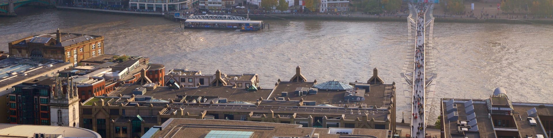 Tate Modern showing a river or creek, a city and a bridge