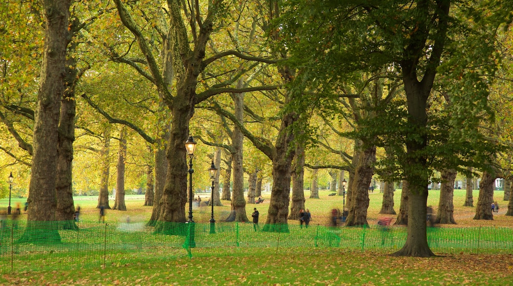 Green Park caratteristiche di giardino