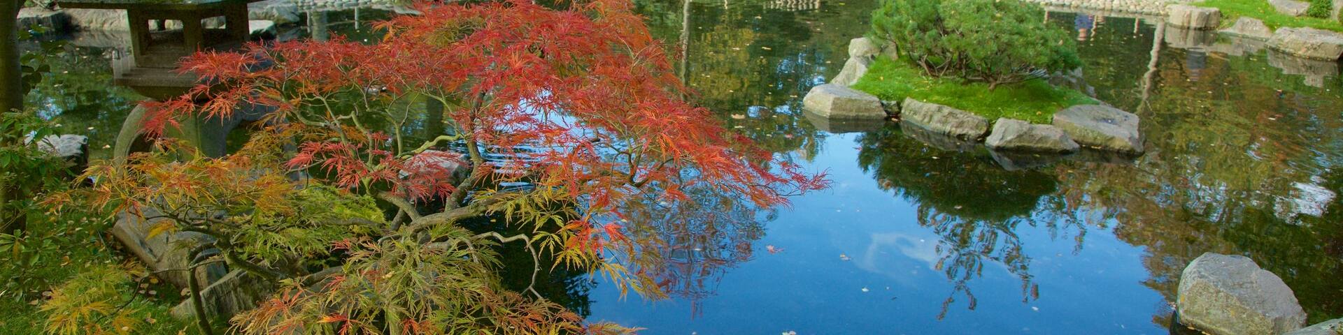 Holland Park showing a park and a pond