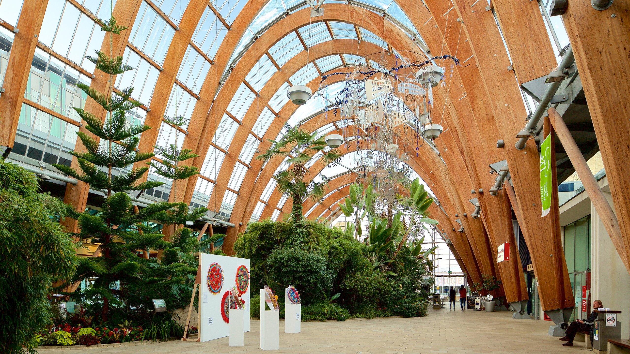 Sheffield Winter Garden showing interior views, a park and art