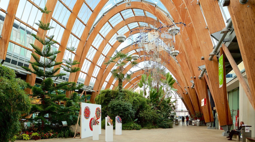 Nhà kính Sheffield Winter Garden trong đó bao gồm khu vườn, cảnh nội thất và nghệ thuật