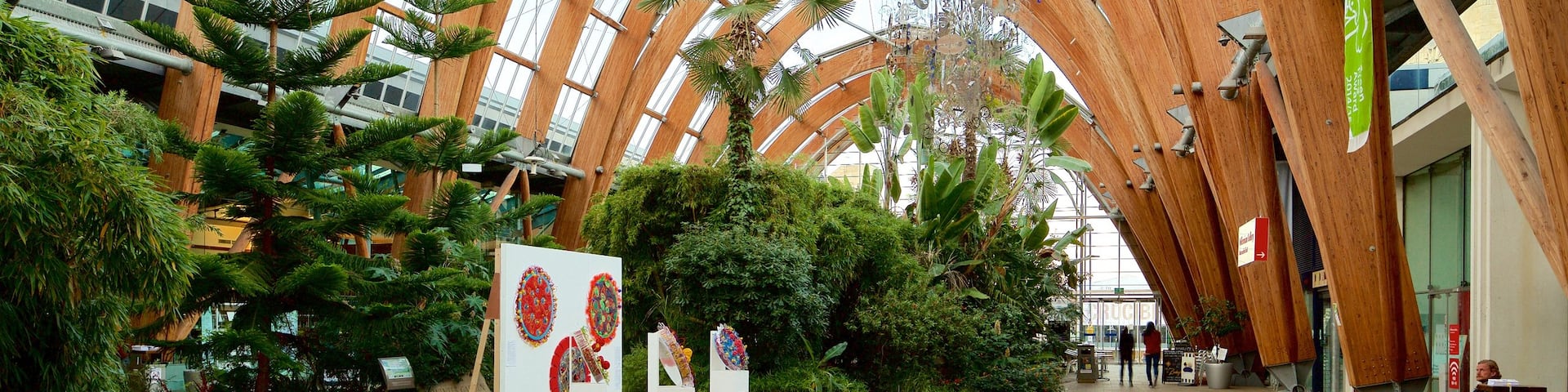 Jardín Winter de Sheffield mostrando vistas interiores, un jardín y arte