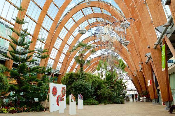 Sheffield Winter Garden showing art, interior views and a garden