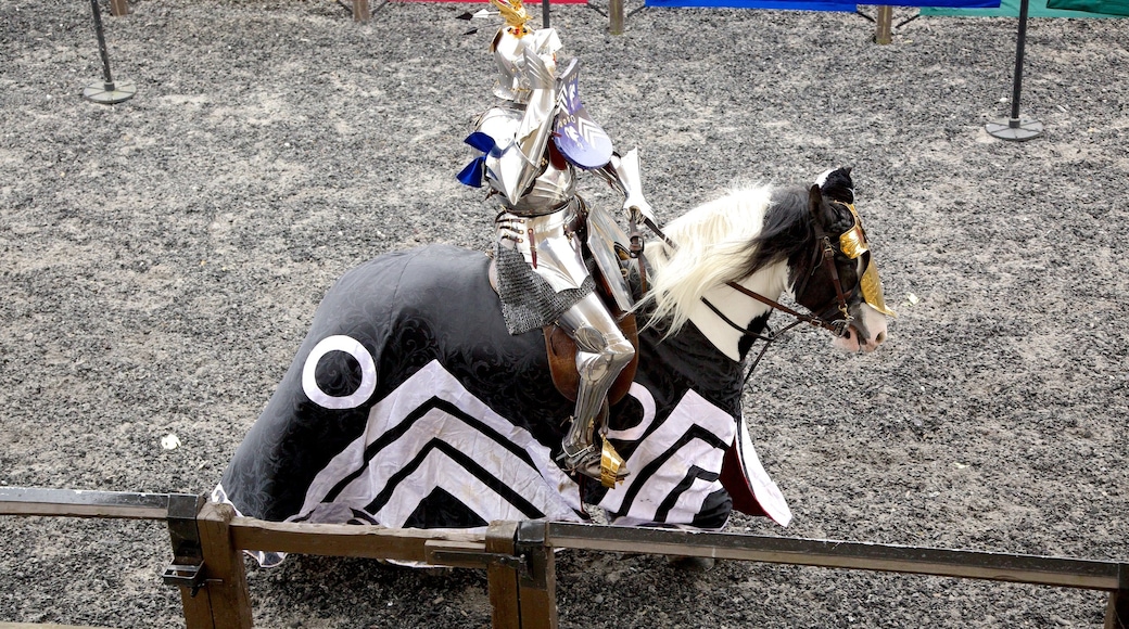 Royal Armouries which includes heritage elements, horse riding and performance art