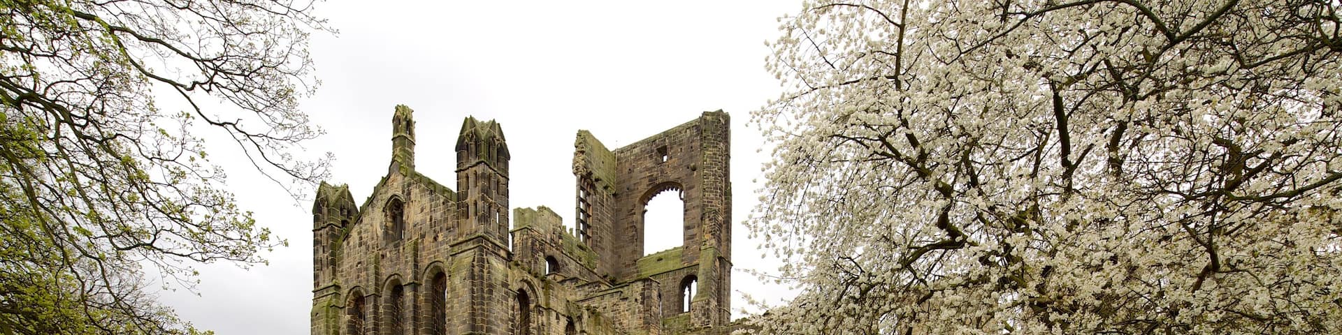 Kirkstall Abbey which includes heritage elements, building ruins and a church or cathedral