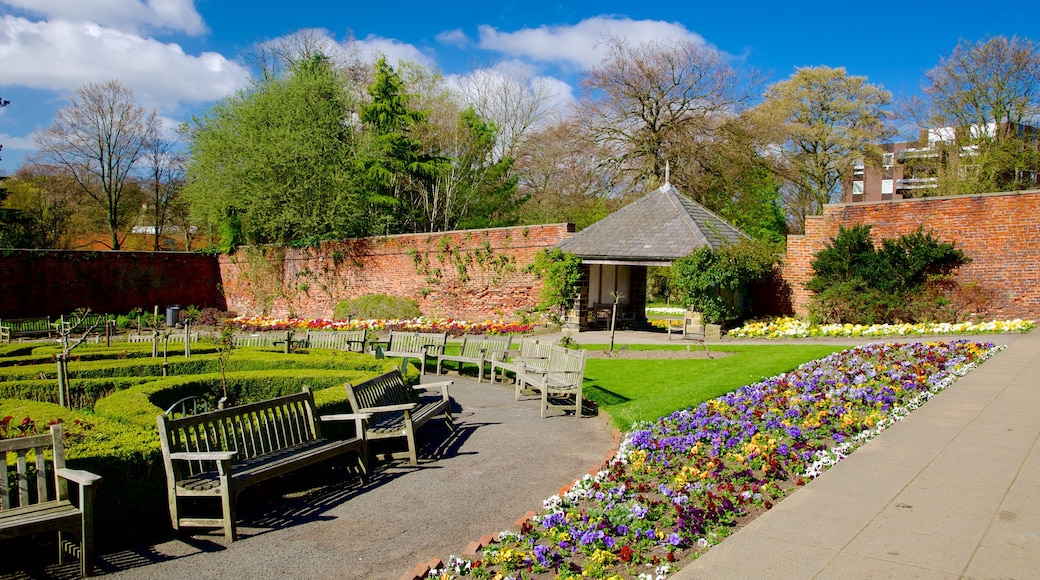 Roundhay Park featuring a garden and flowers