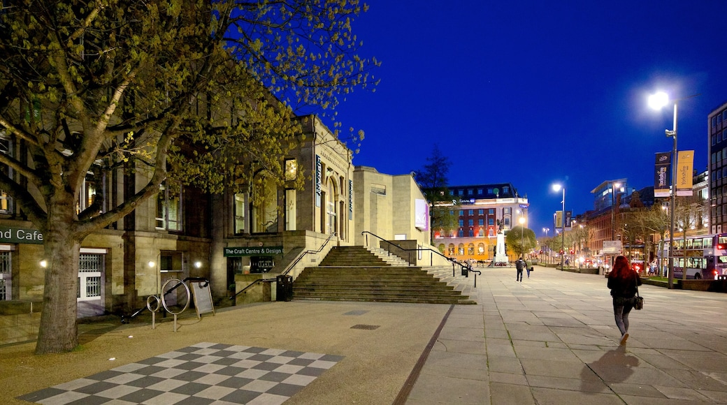 Leeds City Art Gallery showing night scenes and a city as well as an individual femail