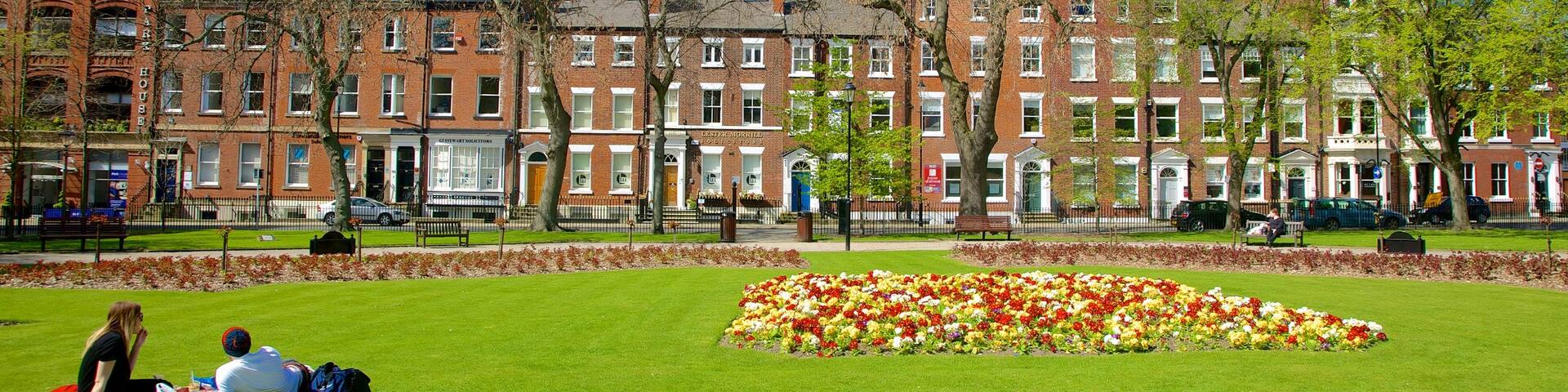 Leeds Park Square showing flowers, picnicking and a park