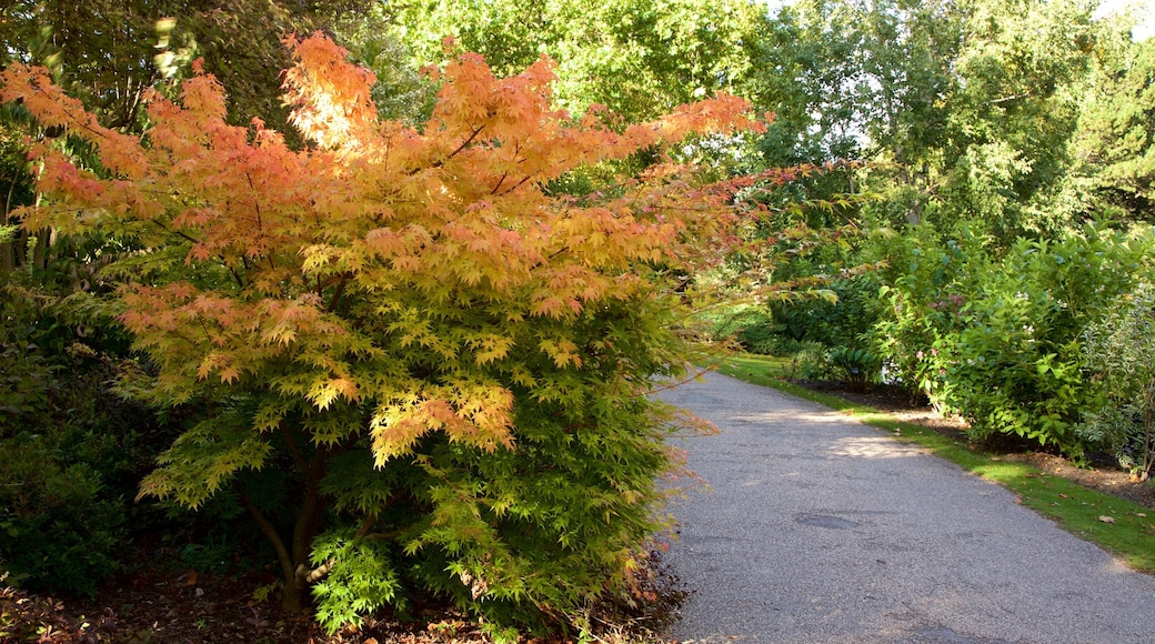 Sheffield Botanical Gardens which includes a park