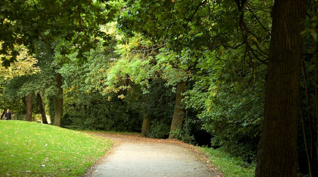 Endcliffe Park som inkluderar en trädgård