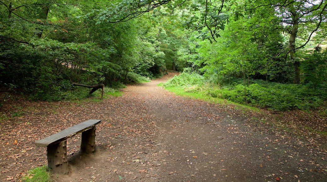 Endcliffe Park som inkluderar en park