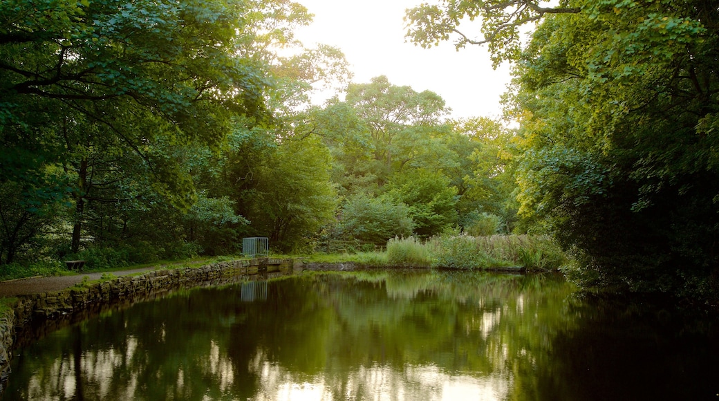 Rivelin Valley Nature Trail toont een tuin en een rivier of beek