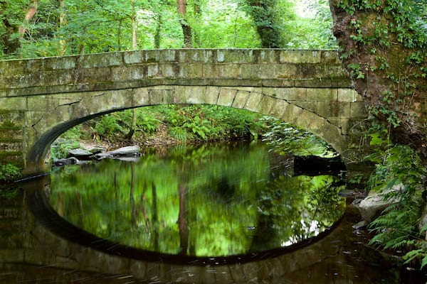 Rivelin Valley Nature Trail mit einem Fluss oder Bach, Brücke und Garten