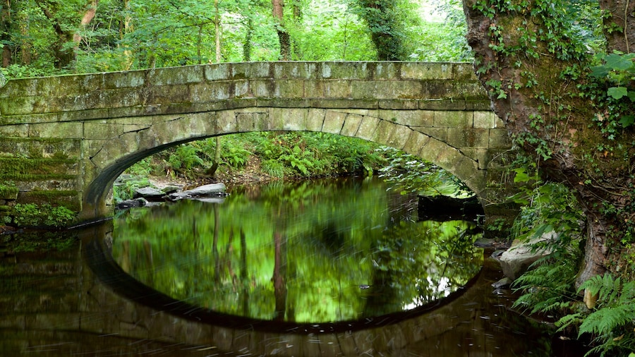 Sendero Natural de Rivelin Valley