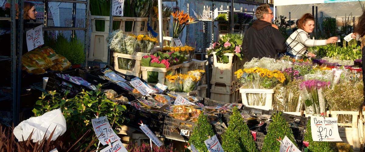 London featuring markets, flowers and shopping