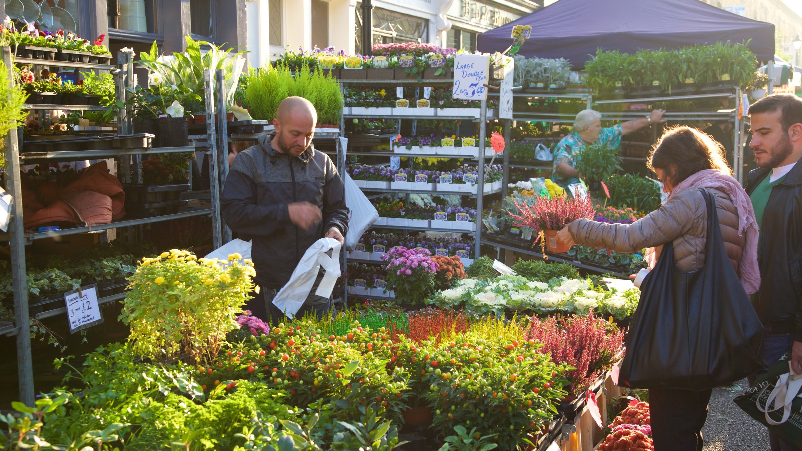Visit Columbia Road Flower Market In London Expedia