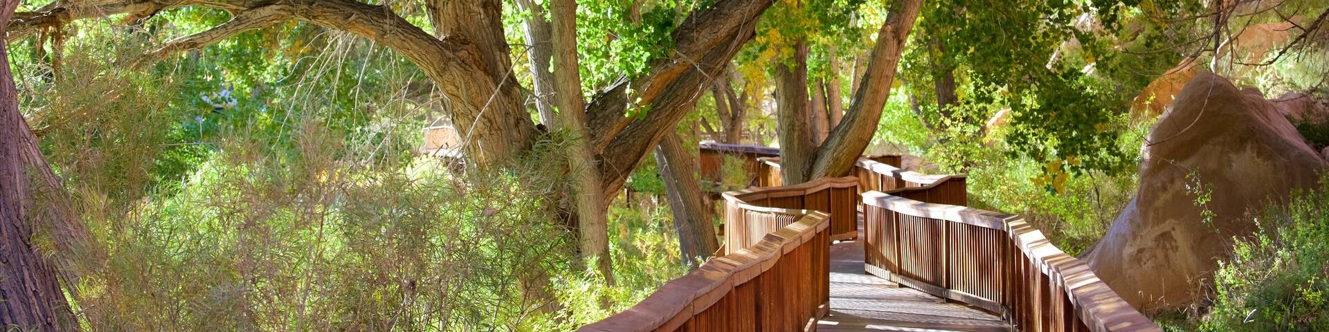 Capitol Reef National Park ofreciendo un jardín
