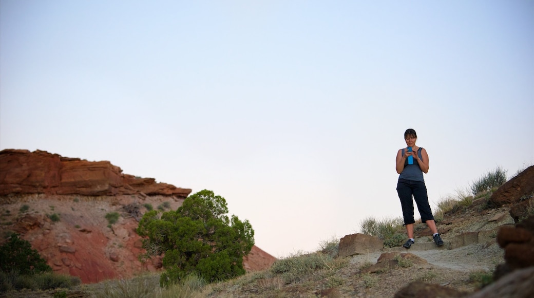 Capitol Reef National Park featuring a sunset, tranquil scenes and desert views