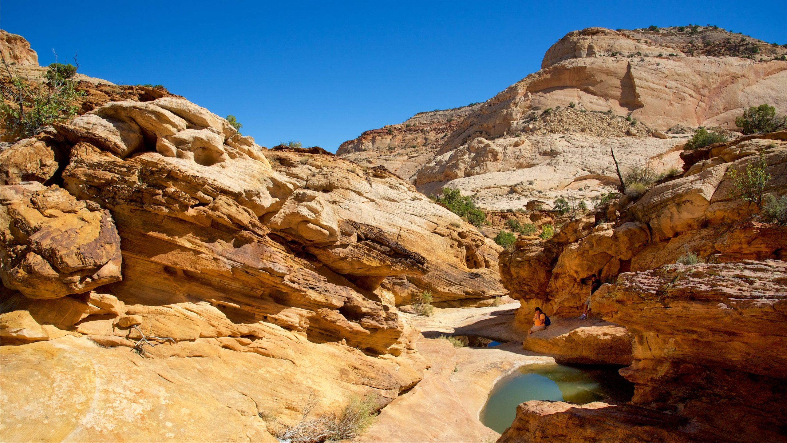 Utah, États-Unis d'Amérique