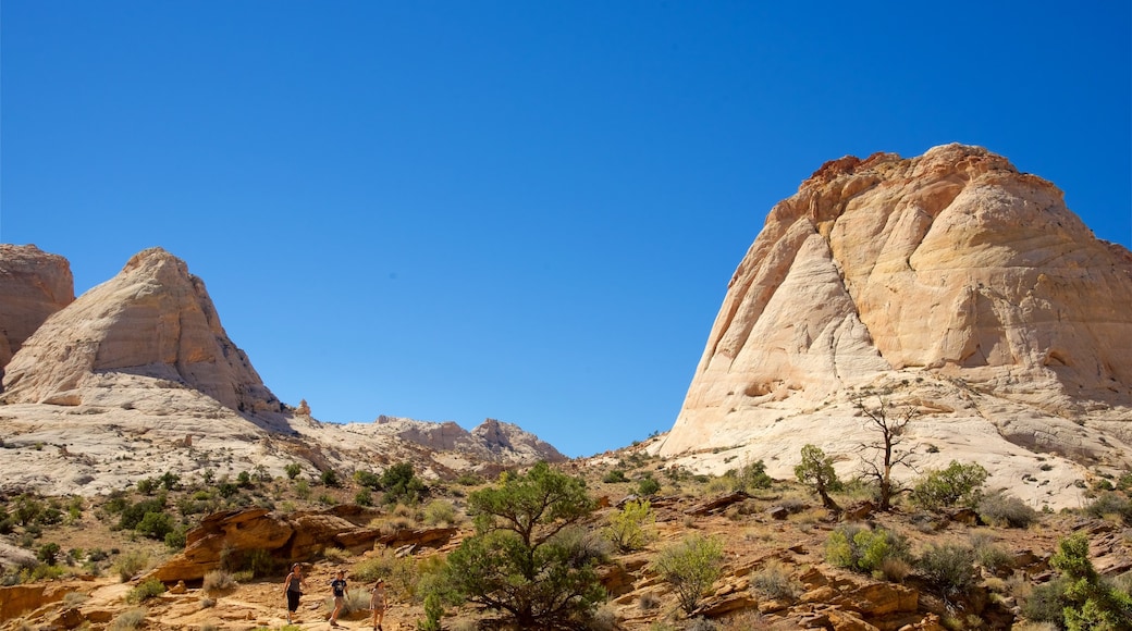 Capitol Reef National Park featuring tranquil scenes, desert views and a gorge or canyon