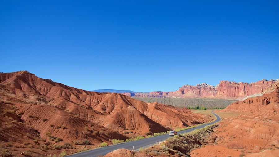 Capitol Reef National Park showing tranquil scenes, a gorge or canyon and desert views