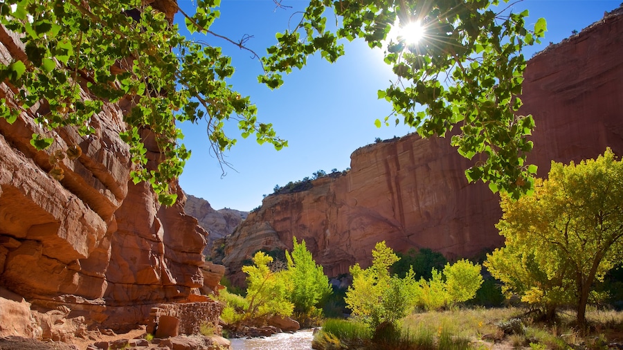 Capitol Reef National Park featuring a gorge or canyon, tranquil scenes and desert views