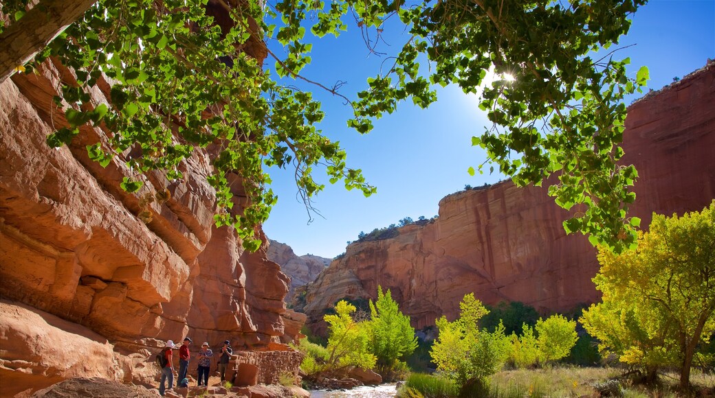 Centrala Utah som inkluderar stillsam natur, en ravin eller kanjon och öknar