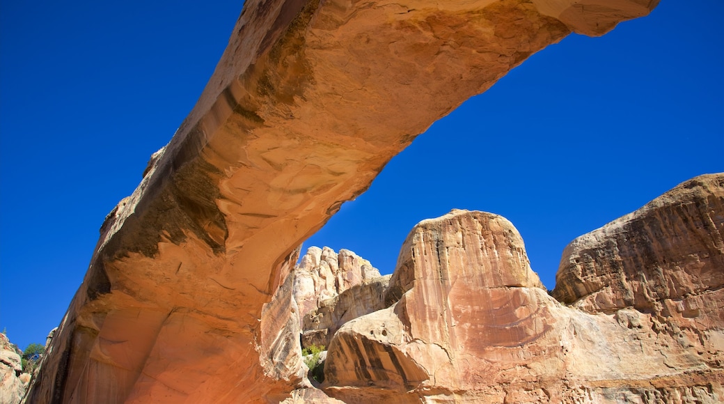 Capitol Reef National Park featuring a gorge or canyon, desert views and tranquil scenes