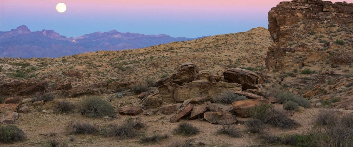 Nevada montrant vues du désert et coucher de soleil