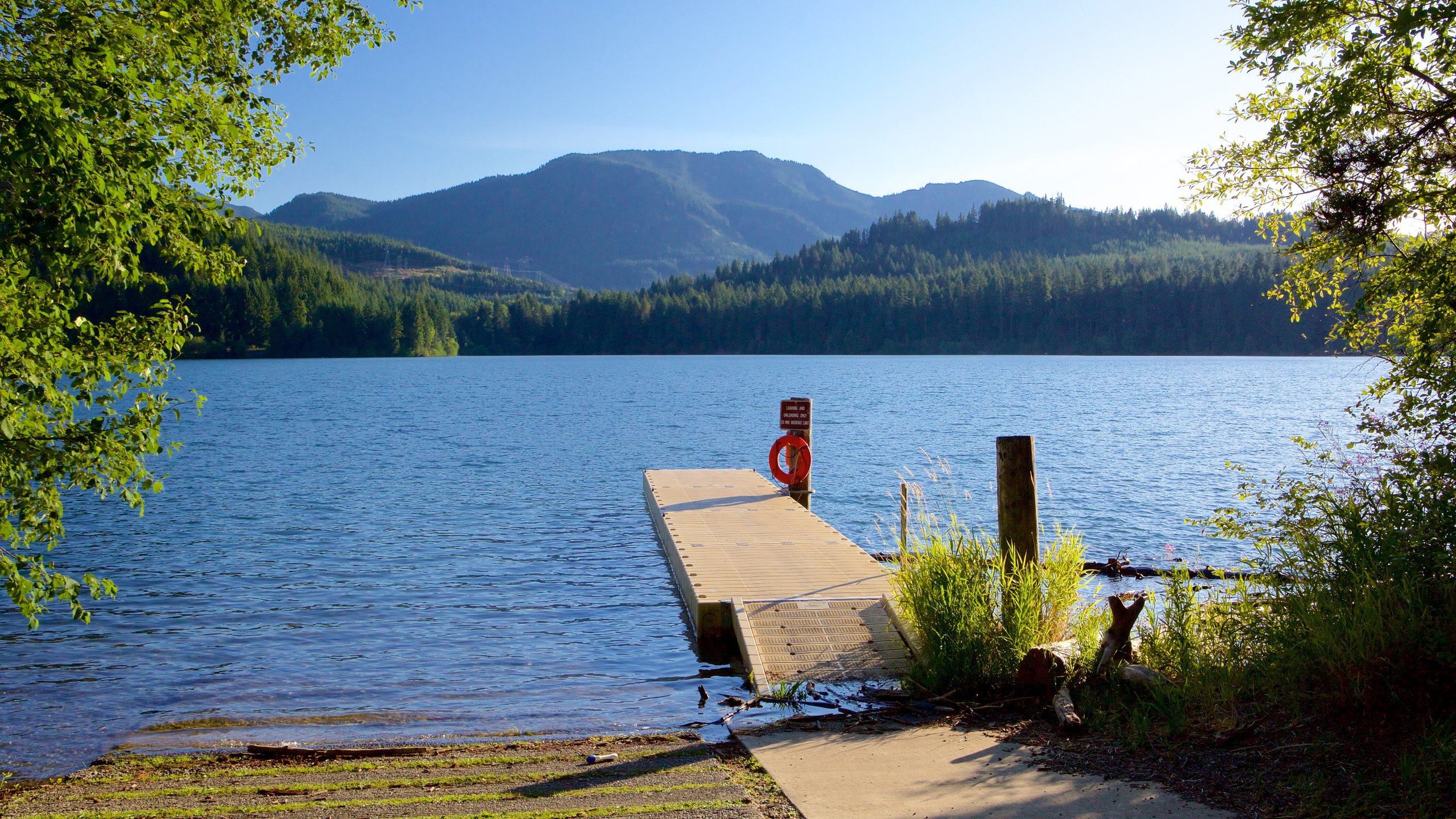 Central Washington showing forest scenes, a lake or waterhole and mountains